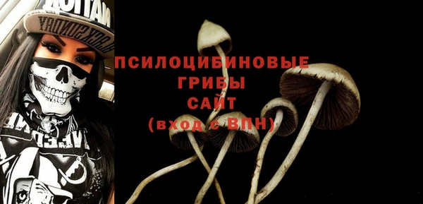 прущий лед Арсеньев