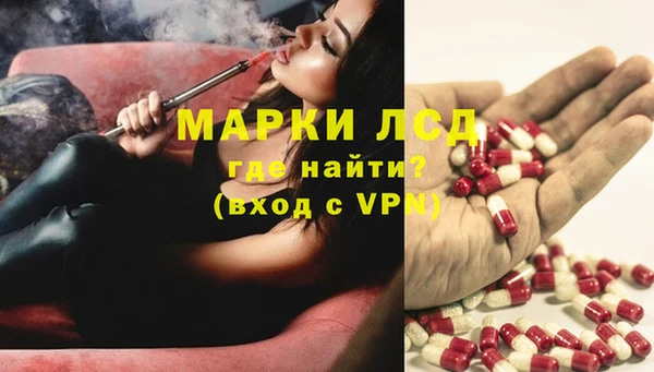 амф Аркадак