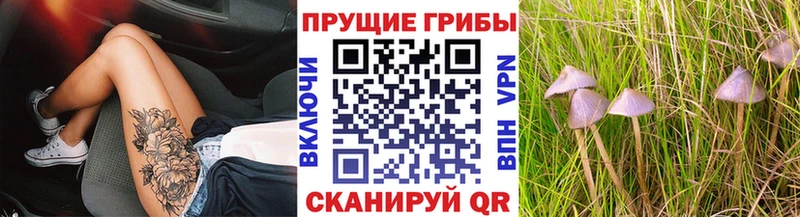 Галлюциногенные грибы GOLDEN TEACHER  Купить где  Мегион 